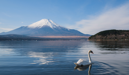 山梨県山中湖